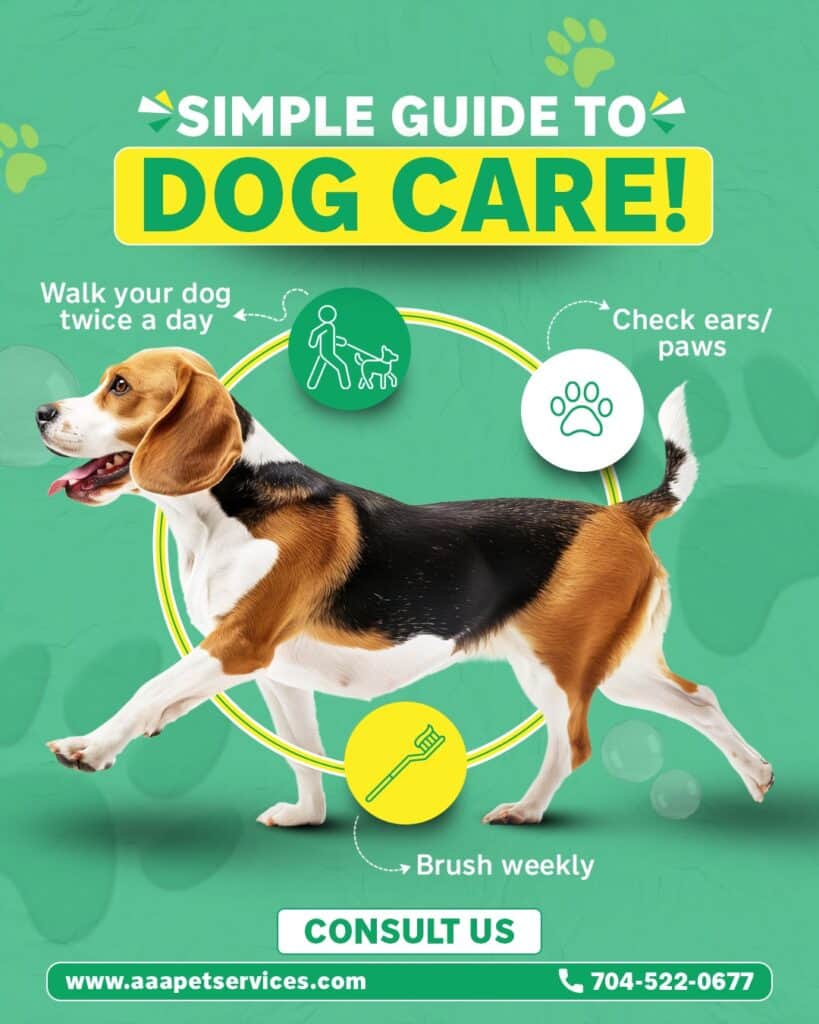 Inoma Digital creative showcase